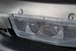 Radiator Protection 02.jpg